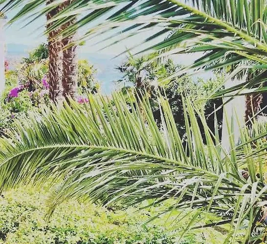 Mypalmassuite With Free Parking In *